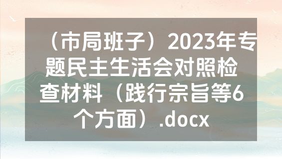 （市局班子）2023年专题民主生活会对照检查材料（践行宗旨等6个方面）.docx