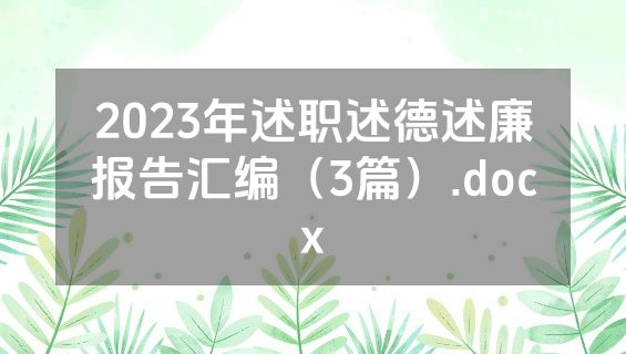 2023年述职述德述廉报告汇编（3篇）.docx