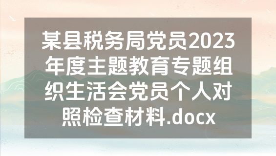 某县税务局党员2023年度主题教育专题组织生活会党员个人对照检查材料.docx