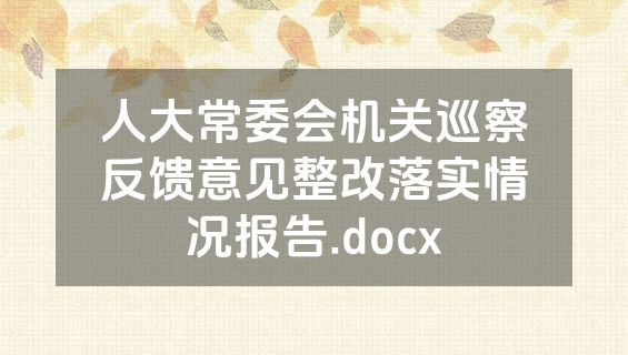 人大常委会机关巡察反馈意见整改落实情况报告.docx