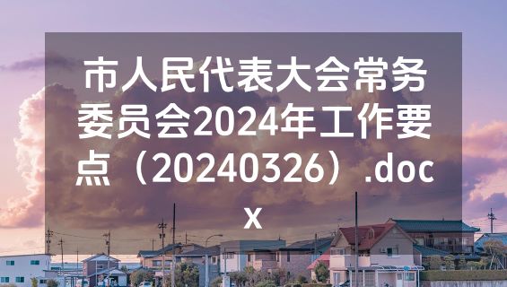 市人民代表大会常务委员会2024年工作要点（20240326）.docx