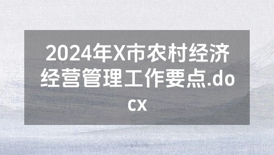 2024年X市农村经济经营管理工作要点.docx