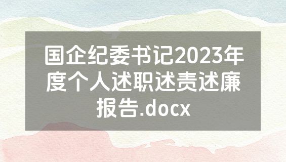 国企纪委书记2023年度个人述职述责述廉报告.docx