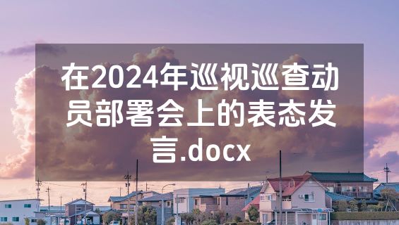 在2024年巡视巡查动员部署会上的表态发言.docx