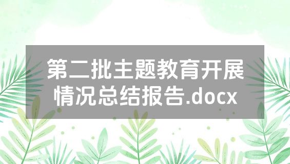 第二批主题教育开展情况总结报告.docx