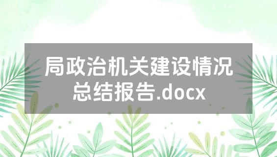 局政治机关建设情况总结报告.docx
