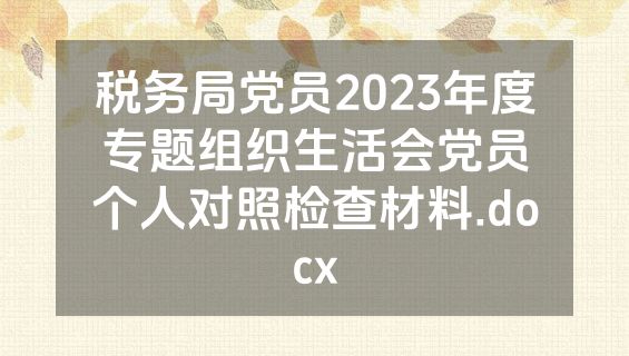 税务局党员2023年度专题组织生活会党员个人对照检查材料.docx