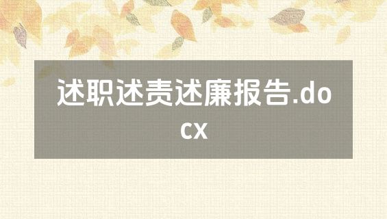 述职述责述廉报告.docx
