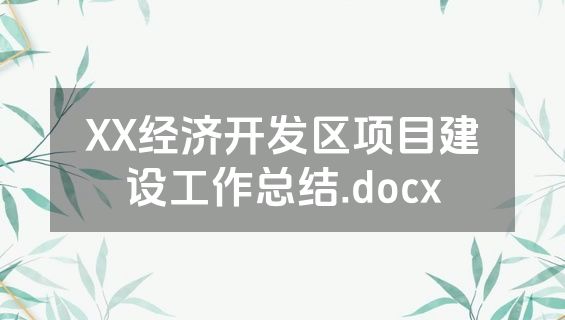 XX经济开发区项目建设工作总结.docx