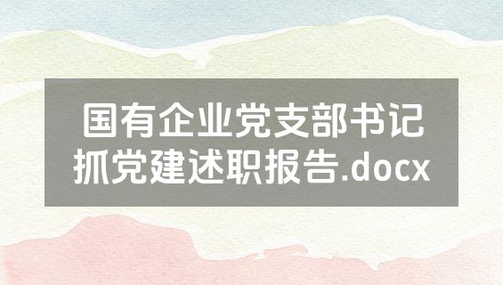 国有企业党支部书记抓党建述职报告.docx