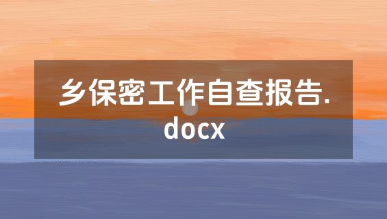 乡保密工作自查报告.docx