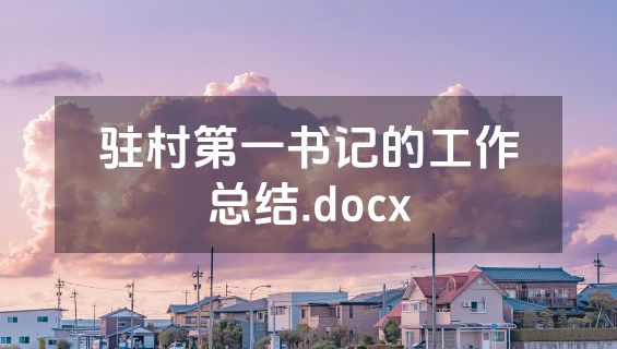 驻村第一书记的工作总结.docx