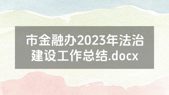 市金融办2023年法治建设工作总结.docx