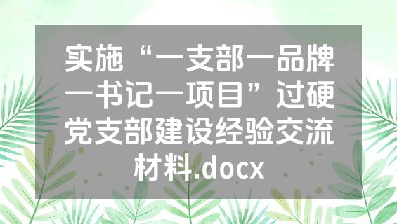 实施“一支部一品牌一书记一项目”过硬党支部建设经验交流材料.docx