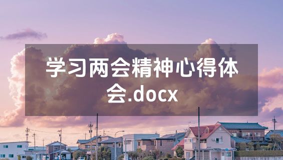 学习两会精神心得体会.docx