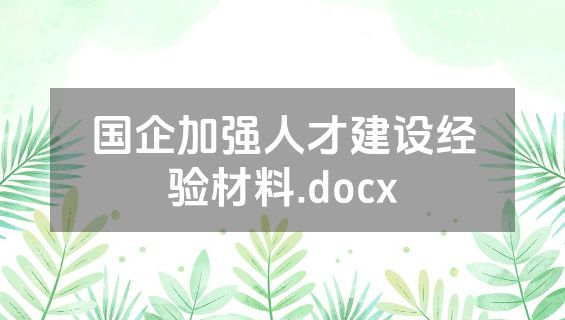 国企加强人才建设经验材料.docx