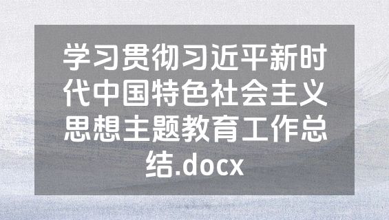 学习贯彻习近平新时代中国特色社会主义思想主题教育工作总结.docx