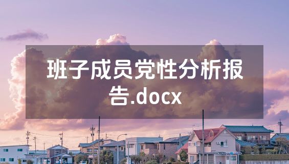 班子成员党性分析报告.docx