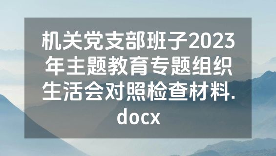 机关党支部班子2023年主题教育专题组织生活会对照检查材料.docx