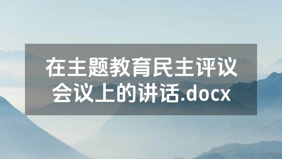 在主题教育民主评议会议上的讲话.docx