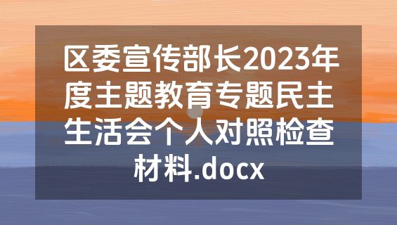 区委宣传部长2023年度主题教育专题民主生活会个人对照检查材料.docx
