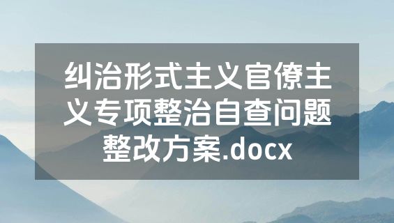 纠治形式主义官僚主义专项整治自查问题整改方案.docx