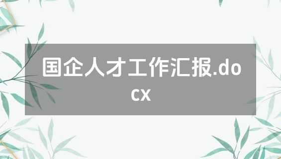 国企人才工作汇报.docx