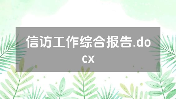 信访工作综合报告.docx