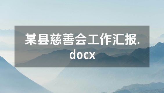 某县慈善会工作汇报.docx