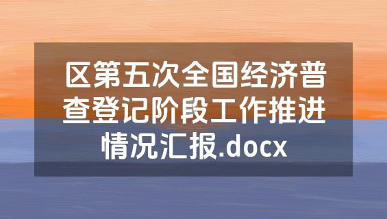区第五次全国经济普查登记阶段工作推进情况汇报.docx