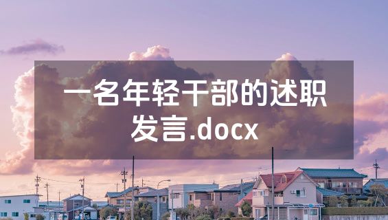 一名年轻干部的述职发言.docx