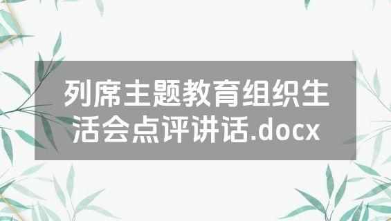 列席主题教育组织生活会点评讲话.docx