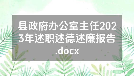 县政府办公室主任2023年述职述德述廉报告.docx