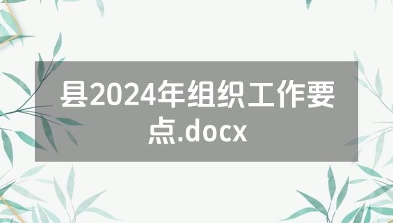 县2024年组织工作要点.docx