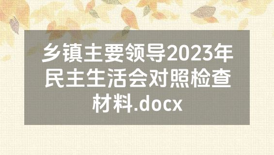 乡镇主要领导2023年民主生活会对照检查材料.docx