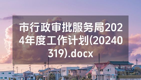 市行政审批服务局2024年度工作计划(20240319).docx