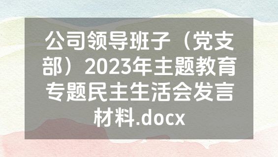 公司领导班子（党支部）2023年主题教育专题民主生活会发言材料.docx