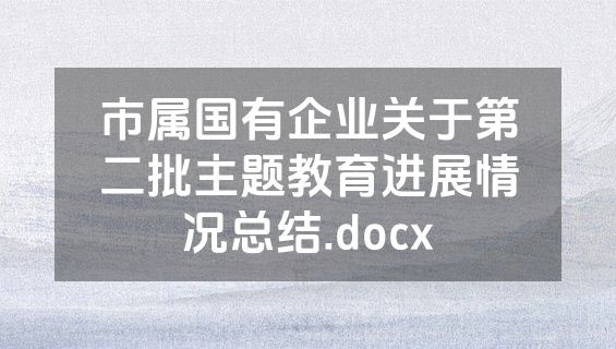 市属国有企业关于第二批主题教育进展情况总结.docx