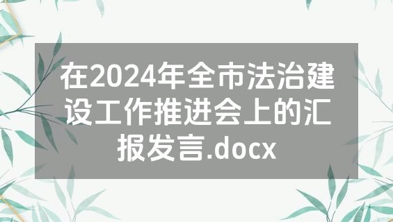 在2024年全市法治建设工作推进会上的汇报发言.docx