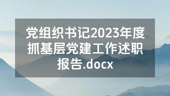 党组织书记2023年度抓基层党建工作述职报告.docx