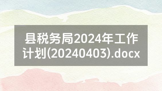 县税务局2024年工作计划(20240403).docx