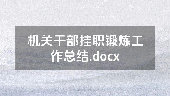 机关干部挂职锻炼工作总结.docx