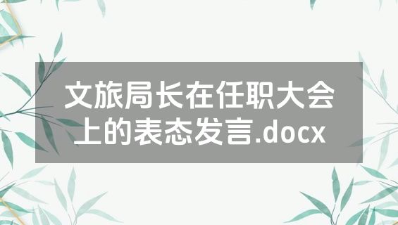 文旅局长在任职大会上的表态发言.docx