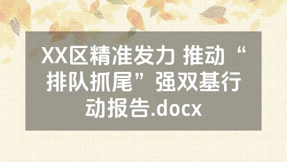 XX区精准发力 推动“排队抓尾”强双基行动报告.docx