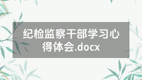 纪检监察干部学习心得体会.docx