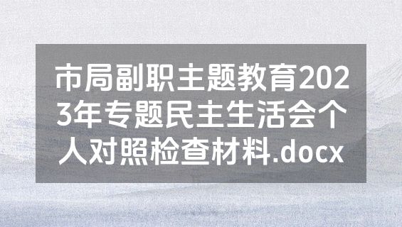 市局副职主题教育2023年专题民主生活会个人对照检查材料.docx