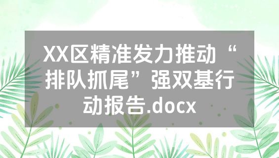 XX区精准发力推动“排队抓尾”强双基行动报告.docx