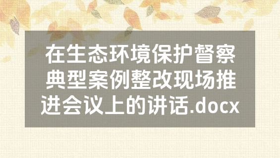 在生态环境保护督察典型案例整改现场推进会议上的讲话.docx