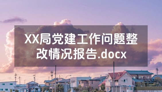 XX局党建工作问题整改情况报告.docx