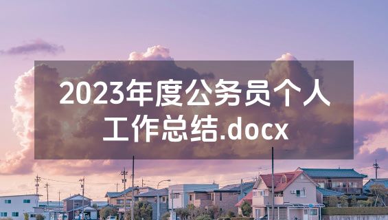 2023年度公务员个人工作总结.docx